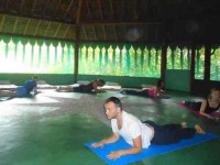 8 Days Ayahuasca, Meditation and Yoga Retreat in Brazil