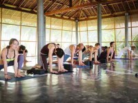 26 Days 200-Hour Yoga Teacher Training in Thailand