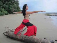 5 Days Intense Body Detox & Yoga Retreat in Costa Rica