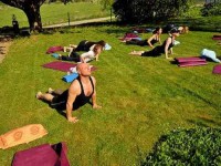 5 Days Yoga and Nature Retreat in Sweden
