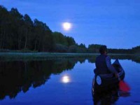 5 Days Yoga and Nature Retreat in Sweden