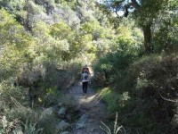 7 Days Hiking, Cleansing, and Yoga Retreat in California