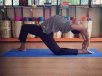 22 Days 200-hour Yoga Teacher Training in India
