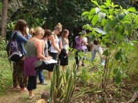 7 Days Yoga and Organic Living Tour in Costa Rica