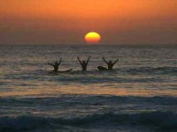 7 Days Morocco Surfing and Yoga Retreat in Agadir