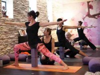3 Days Iyengar Yoga and Wellness Autumn Retreat in Holland