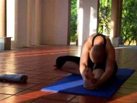 8 Days Wellness Retreat in Bangalore, India