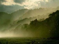 10 дней на горы и пляж Йога Приключения в Коста-Рике	