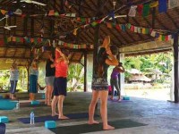 28 Days Renew and Revitalize Detox Retreat in Thailand