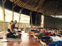 28 Days 200 Hr Yoga Teacher Training in Bali