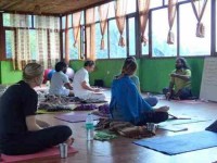 14 Days Wellness Yoga Retreat in Rishikesh, India
