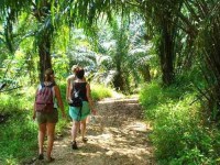 4 Days Yoga, Breathing & Alignment in Ranong, Thailand