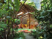21 дней Йога праздников и Detox Retreat в Коста-Рике	
