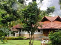 16 Days Yoga and Ayurveda Retreat in South India