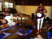 8 Days Sound Healing, Yoga, & Whale Adventure Retreat in Hawaii