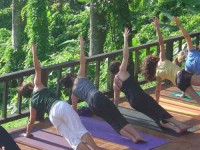 7 Days Yoga Retreat for Solo Travelers in Costa Rica