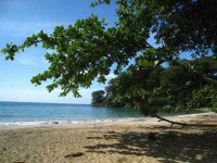 7 Days Yoga Retreat for Solo Travelers in Costa Rica