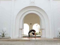 8 Days Hatha and Vinyasa Yoga Retreat in Greece