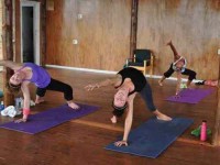 24 Days 200-Hour Yoga Teacher Training in Fiji