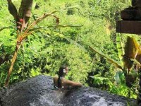 7 Days Spa, Wellness, and Yoga Retreat in Bali