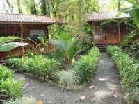 8 Days Rejuvenate Retreat for Yoga Teachers, Costa Rica
