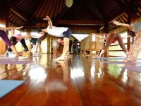 8 Days Blissful Yoga Retreat in Ubud, Bali