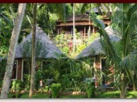 8 Days Ayurvedic Healing & Yoga Retreat in Kerala