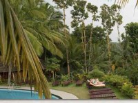 8 Days Ayurvedic Healing & Yoga Retreat in Kerala