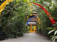 6 Days Healing Ayurveda & Yoga Retreat in Costa Rica