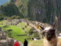 13 Days Yoga Journey Through Southern Peru