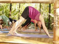 7 Days Soul Connection Yoga Retreat in Costa Rica