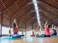 7 Days Path to Happiness Bali Yoga Retreat