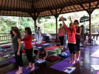 7 Days New Yoga Pranala Retreat in Bali