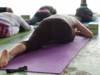37 Days 300-Hour Advanced Yoga Teacher Training in Denmark