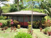 8 Days Chakra Yoga Retreat in Fiji