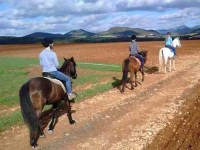 8 Days Yoga & Horse Riding Holiday in Andalusia, Spain
