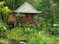 8 Days Mindful Goddess and Warrior Yoga Retreat in Bali