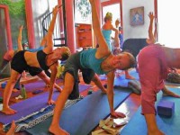 6 Days Ayurveda Panchakarma and Yoga Retreat in Florida