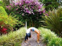 7 Days Eres Yoga Retreat in Panama