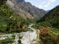 12 Days Meditation, Chanting and Yoga Retreat Tirthan Valley Himalayas India