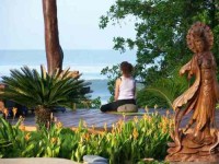 8 Days of Restoration and Yoga Retreat in Mexico