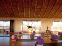 8 Days Cabo San Lucas Yoga Retreat in Mexico