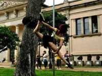 7 Days Pole and Yoga Camp in Barcelona