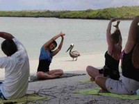7 Days Radiant Heart Bali Yoga Retreat