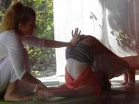 29 Days 200-Hour Yoga Teacher Training India with the Joy Of Life Foundation