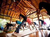 7 Days Sacred Geometry Yoga Retreat Costa Rica
