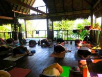 8 Days Love Wave Yoga Retreat in Costa Rica