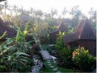 8 Days Tantric Massage and Yoga Retreat in Bali