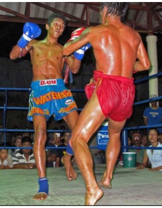 Неделя Muay Thai и Капоэйры | Monsoon Gym - остров Тау, Таиланд