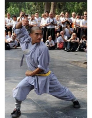 Год интенсивной практики воинских искусств | Shaolin Temple - Хэнань, Китай